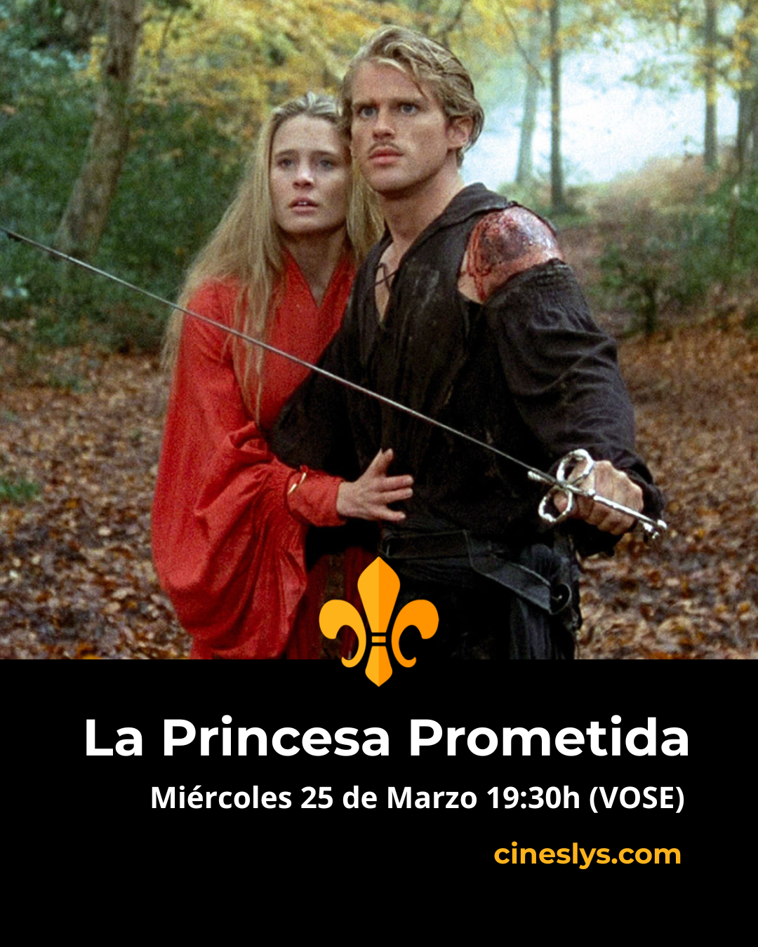 La Princesa Prometida 1 princesa prometida